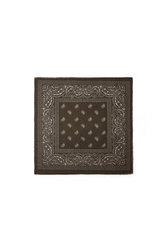 Wintersjaals met paisley-patroon, klassiek polyester, dagelijkse accessoires